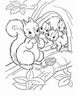 Herbst Ausmalvorlagen Malvorlagen Eichhörnchen Vorlage Eichhornchen Vorlagen Malbuch Jungs Ausdrucken Ausmalbildermalvorlagen Drucke sketch template