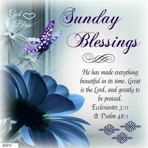 The Best And Most Comprehensive Good Morning Sunday