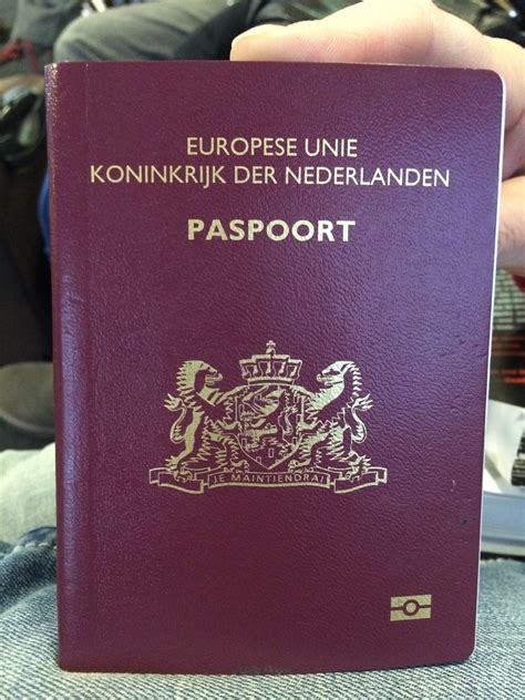 netherlands passport photo netherlands passport template psd fake template