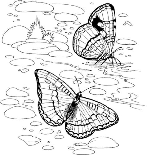nature   house coloring pages coloring home