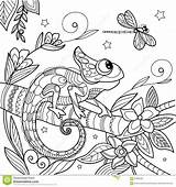 Chameleon Antistress Lizard Vector Illustration Branch Dragonfly Stars Pages Coloring Stock Choose Board Color Dreamstime Zentangle Style sketch template