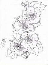 Hawaiian Lei Drawing Getdrawings Coloring sketch template