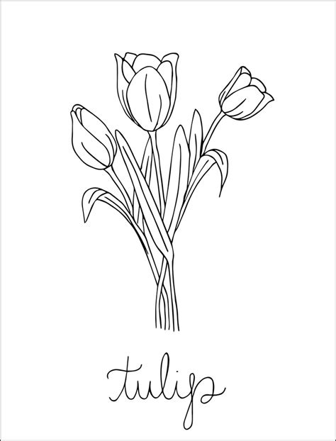 adult coloring pages spring flower set   etsy