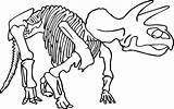 Dinosaur Coloring Fossil Skeleton Pages Bones Printable Drawing Triceratops Line Fossils Cliparts Kids Color Clipart Animal Print Minecraft Printables Getcolorings sketch template