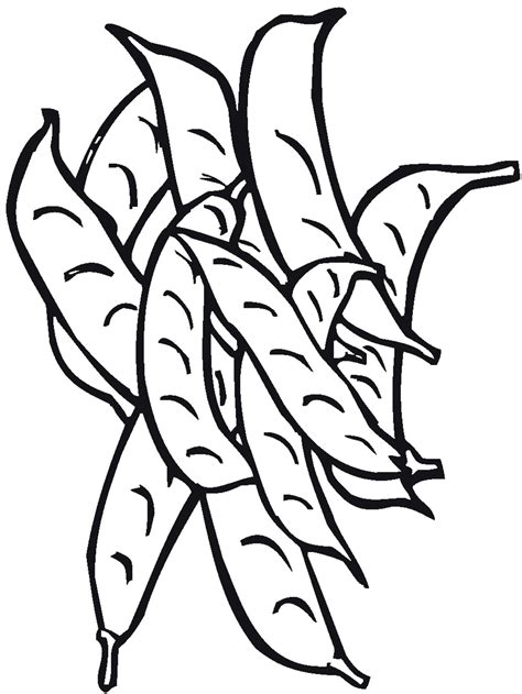 pin   coloring pages  food   coloring pages vegetable