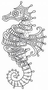 Seahorse Quilling Bordado Colorier Trace Adulte Disegni Native Intricate Lacy Stitching Detailing Downloads Together Bordar Bricolage Rouleau Coloriages Livres Hojas sketch template