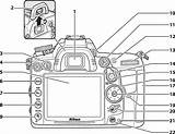 D7000 Nikon Illustration Courtesy Usa Prods Imaging Resource sketch template