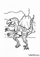 Velociraptor Coloriage Allosaurus Coloriages Hellokids Vulkan Imprimer Dinosaures تلوين Evolved Dinosaurier Primaire Magnifique صفحات صفحه Drucken Farben Dessins Kleurplaat Ligne sketch template