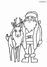 Reindeer Weihnachtsmann Rentier Rentiere Ausmalbild Ausmalen Nikolaus Malvorlage Colomio sketch template