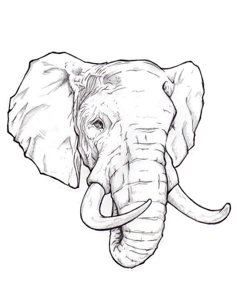 gambar elephant face coloring page home pages  rebanas rebanas