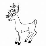 Reindeer Coloring Printable Pages Kids Cartoon Print Colouring Christmas Popular Library Clipart sketch template