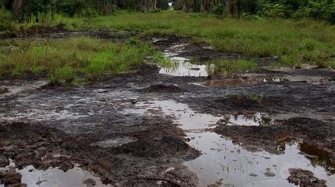 nigeria records  oil spills   years loses trn barrels  theft   years