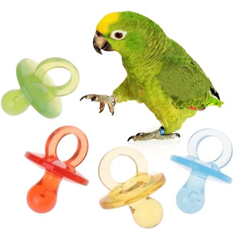 pcs colorful cm pet bird toy supplies parrot   animals acrylic diy accessories