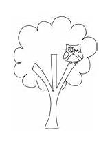 Coloring Tree Owl Pages Trees sketch template