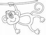 Monkey Coloring Hanging Vine Pages Ws sketch template