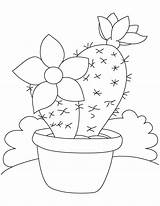 Cactus Flower Coloring Large Pages Kids sketch template