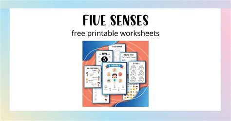senses worksheets  preschool  kindergarten  printable