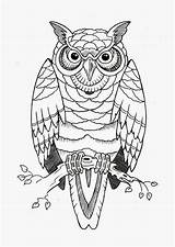 Colorir Coruja Owls Stencils Corujas Burung Buho Hantu Tatuaje Plantilla Rama Búho Tu Thebodyisacanvas Pngwing Bestcoloringpages sketch template