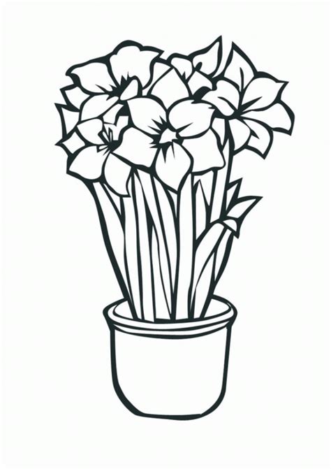 coloring pages  hawaiian flowers coloring home