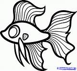 Fish Drawing Betta Draw Kids Step Simple Coloring Beta Cute Clipart Drawings Fighting Cartoon Line Pages Hellokids Sketches Wallpapers Gif sketch template