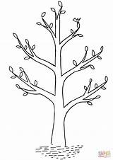 Spring Coloring Tree Drawing Pages Printable Print Scale Paintingvalley Crafts Paper sketch template