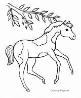 Horse Clipart Drawings Easy sketch template