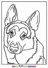German Shepherd Coloring Pages Dog Printable Kids Sheet Baby Dogs Template Cute sketch template