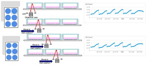 cell quality evaluation   cm incubation monitoring system improve  reproducibility