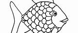 Scales Fish Coloring Pages Drawing Template sketch template