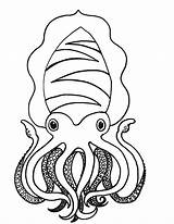 Squid Giant Coloring Pages Colouring Sheet Template Whale sketch template