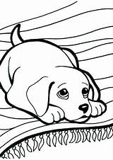 Coloring Labrador Pages Kitten Print Puppy Printable Getcolorings Dog Puppies Kittens Color Dogs Book Getdrawings sketch template