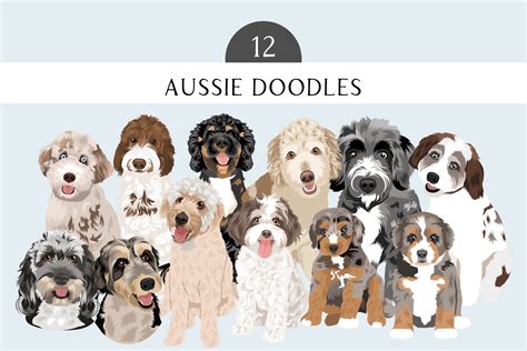 aussie doodle clip art dog breed editable vector pack aussiedoodle