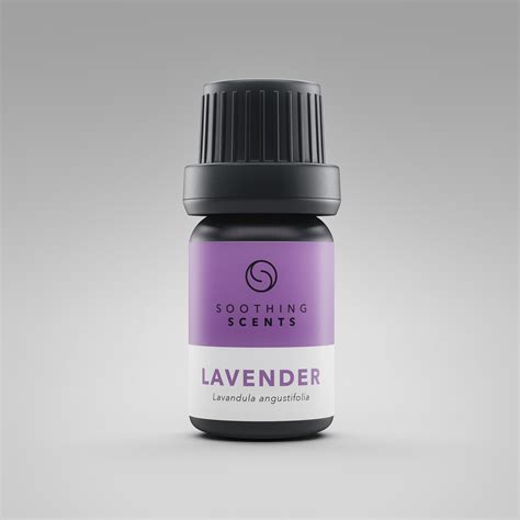 lavender oil ml soothing scents