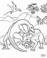 Coloring Pages Protoceratops Dinosaurs Printable Fights Dinosaur Color Drawing Fighting Print Kids Online sketch template
