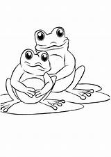 Frog Sapo Colorir Mãe Bebê Frosch Colorironline Ausmalbilder Sapos Dançantes Galho Momjunction sketch template