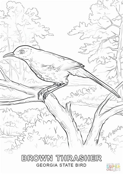 alaska state bird coloring page colorszg