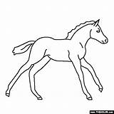 Horse Baby Coloring Pages Horses Animals Pony Color Drawing Clipart Thecolor Online Others Choose Board Babies Getdrawings Popular Ai sketch template