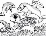 Coloring Sea Pages Turtle Cute Turtles Animal Animals Ocean Sheets Kids Rocks Underwater Print Creature sketch template