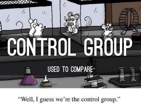 control group  scientific experiments  janine perry