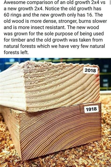 practice comparison   growth   growth wood architecture