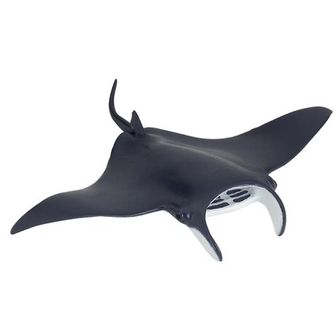 manta ray toys normal sex vidoes hot