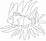 Anemone Sea Clownfish Template Coloring Pages sketch template