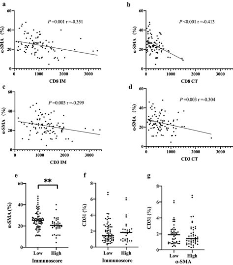 A–d The Relationship Between Cd3 Cd8 And Alpha Smooth Muscle Actin