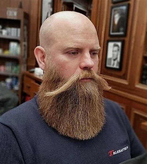 Bald Bearded Stache Hot Hipster Beard Shaved Head With Beard Bald