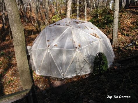 dale stalter customer reviews   geodesic greenhouse