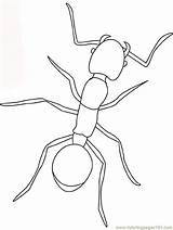 Ant Coloring Color Popular sketch template