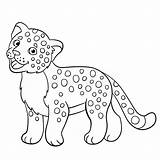 Jaguar Colorare Smiles Giaguaro Piccoli Childrencoloring sketch template