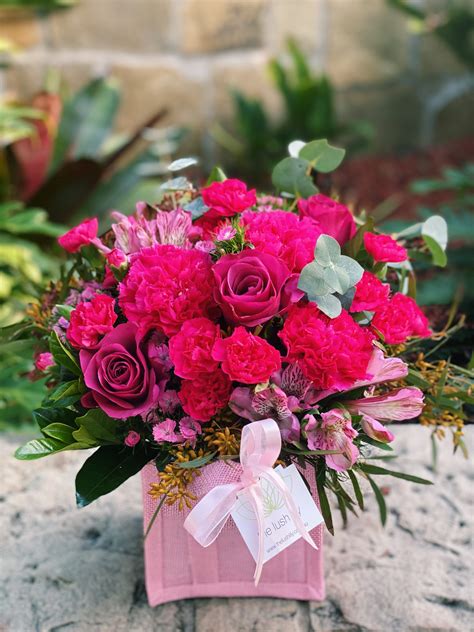 Annabelle The Lush Lily Brisbane Florist Flower Delivery