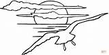 Soleil Coucher Gaviota Gaviotas Tramonto Mer Paisajes Drawing Mewa Seagulls Kolorowanki Coloriages Mewy Sunsets Dzieci Dla Volando Słońca Zachód Kolorowanka sketch template