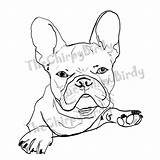 Frenchie sketch template